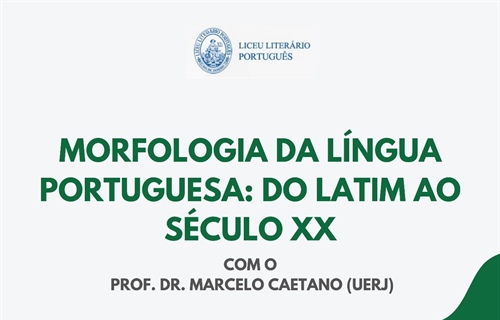 MORFOLOGIA DA LÍNGUA PORTUGUESA: DO LATIM AO SÉCULO XX